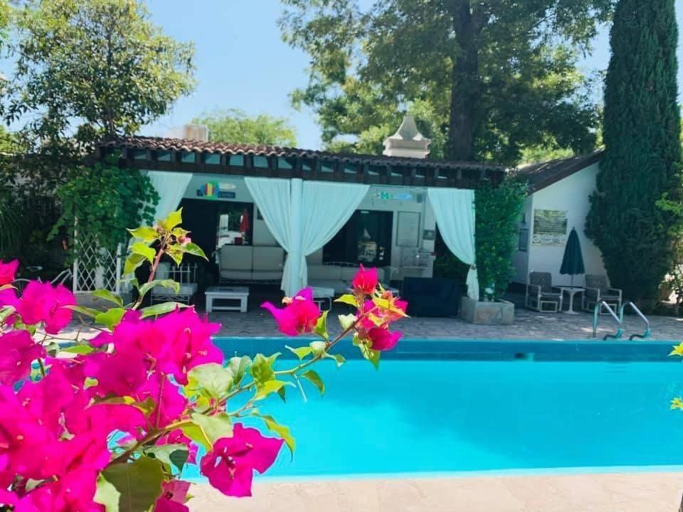 La Casita Inn Bustamante المظهر الخارجي الصورة