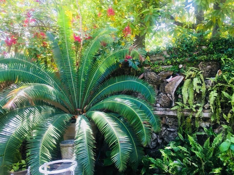 La Casita Inn Bustamante المظهر الخارجي الصورة