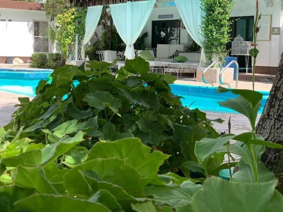La Casita Inn Bustamante المظهر الخارجي الصورة