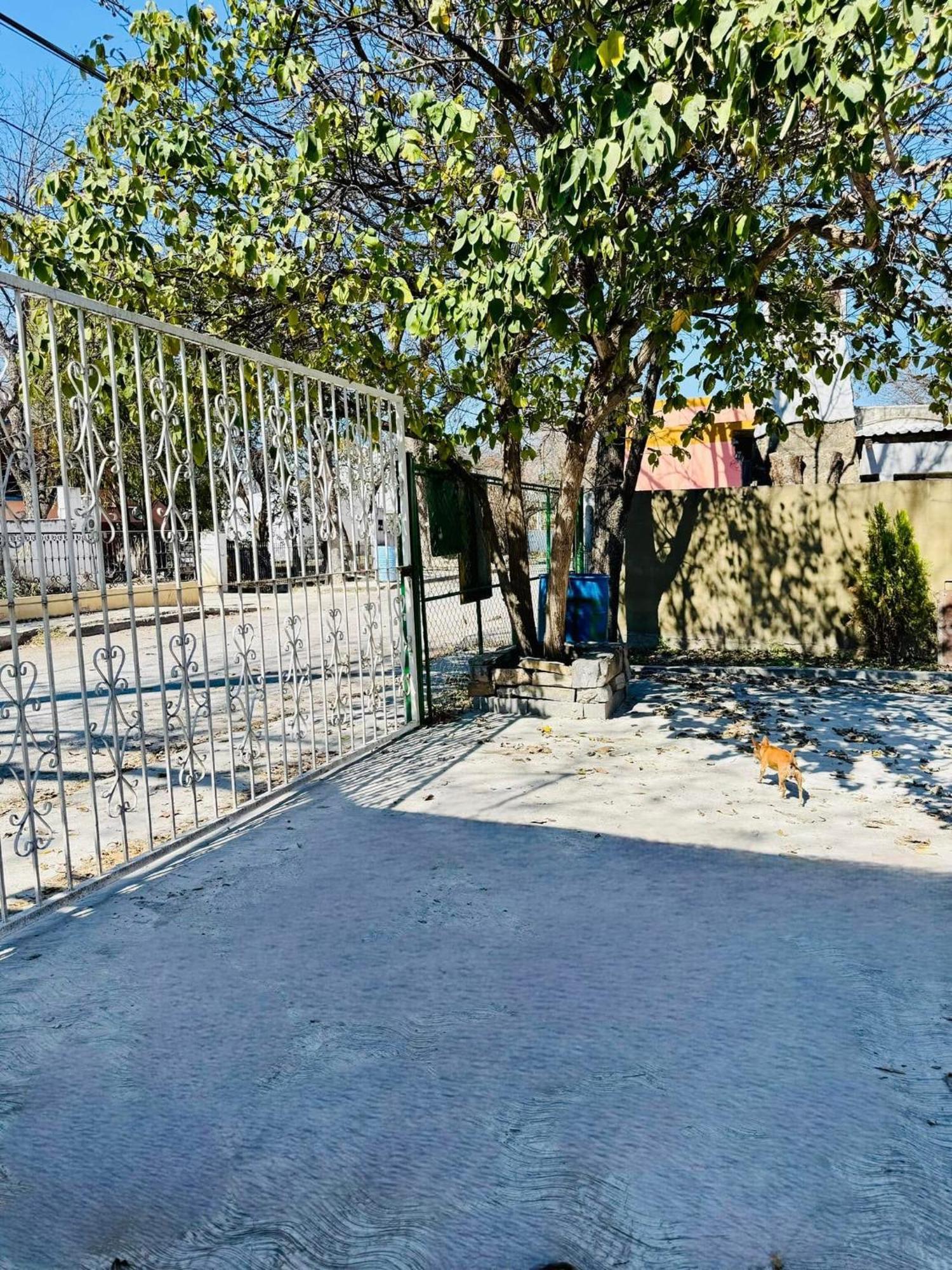 La Casita Inn Bustamante المظهر الخارجي الصورة