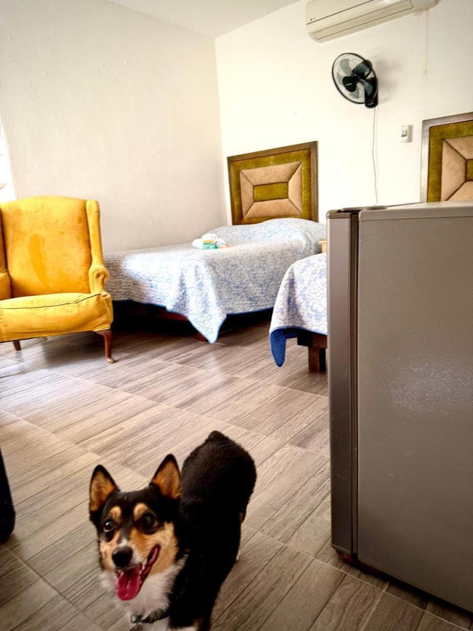 La Casita Inn Bustamante المظهر الخارجي الصورة
