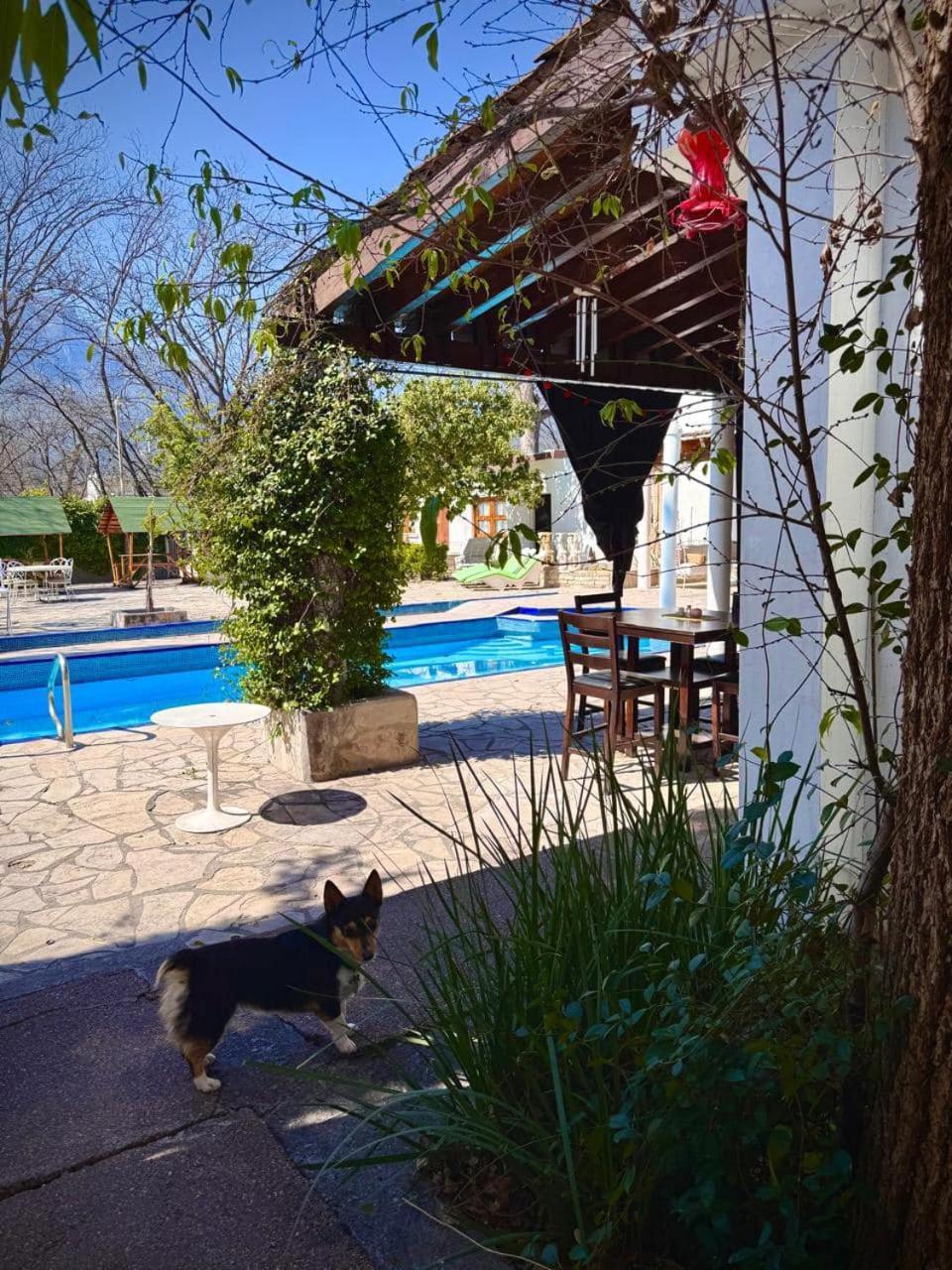 La Casita Inn Bustamante المظهر الخارجي الصورة